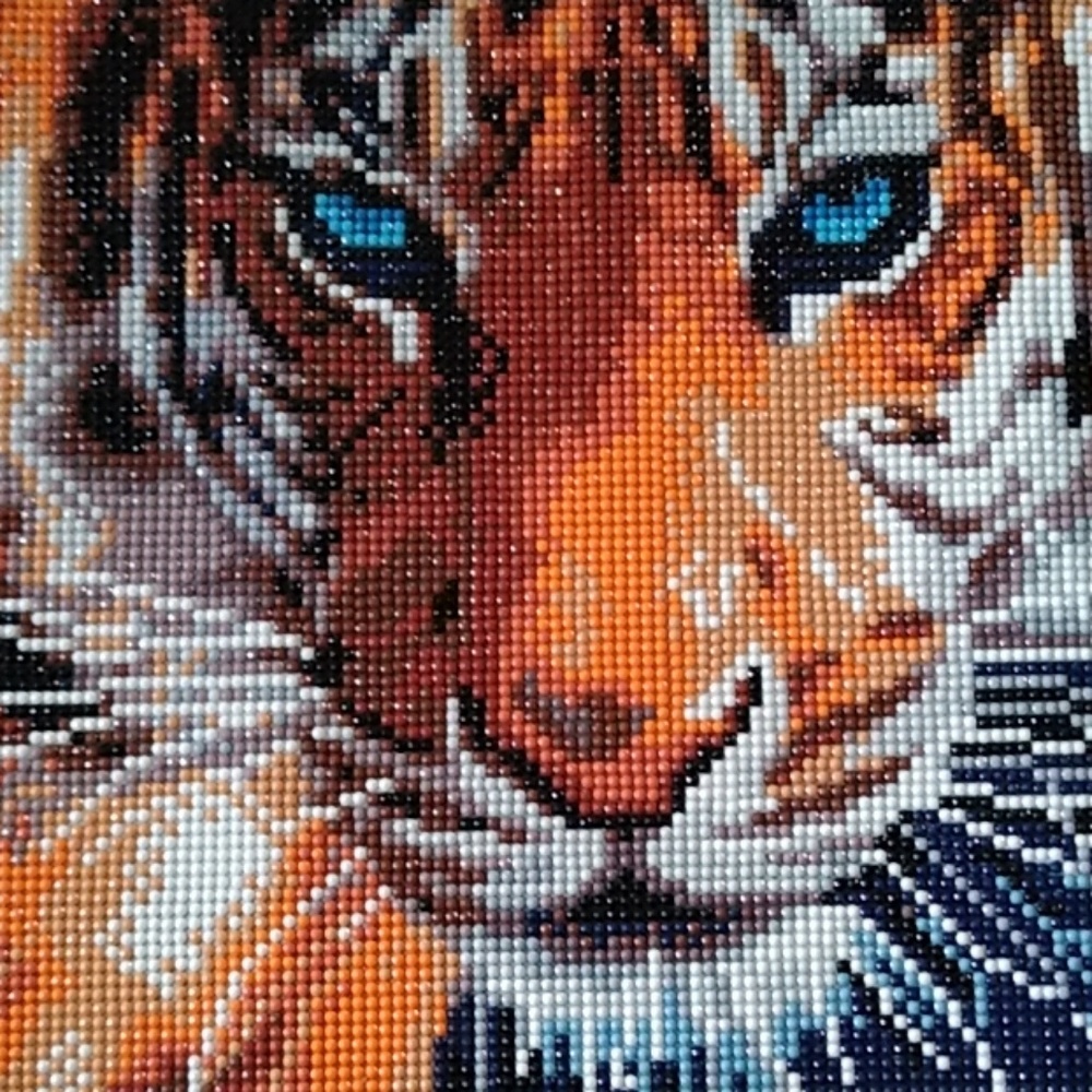 Tiger 🐅 Wall Display